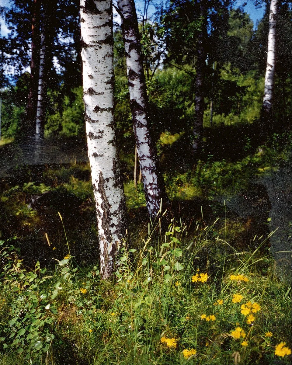 JH Engström – Dimma Brume Mist — Void